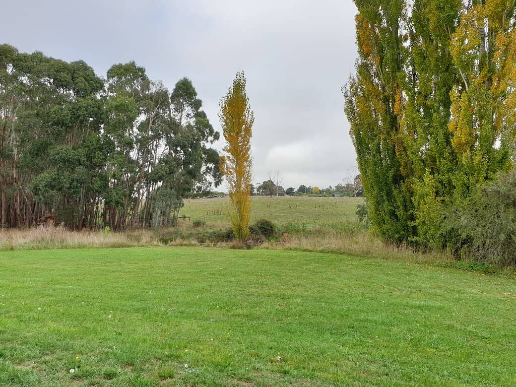 Historic River Swimming Spot