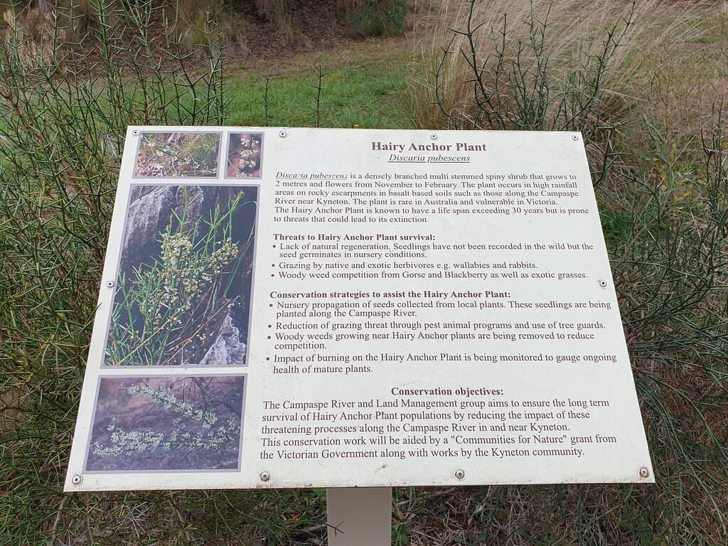 Kyneton Botanical Gardens