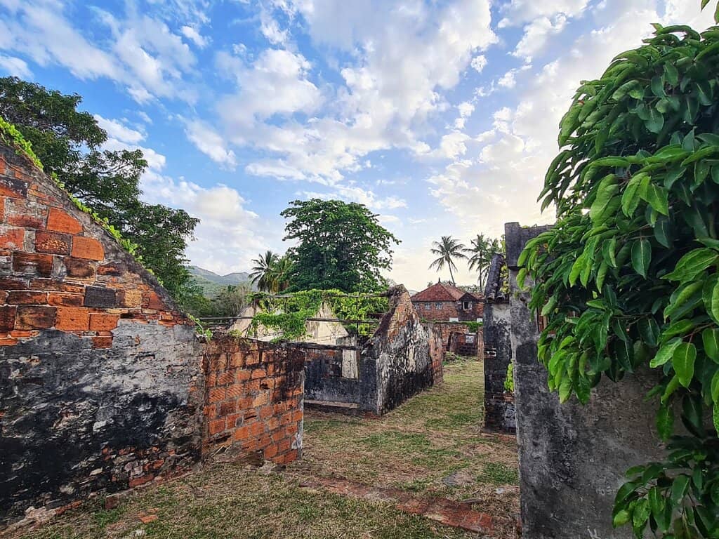 Le Jardin des Envies