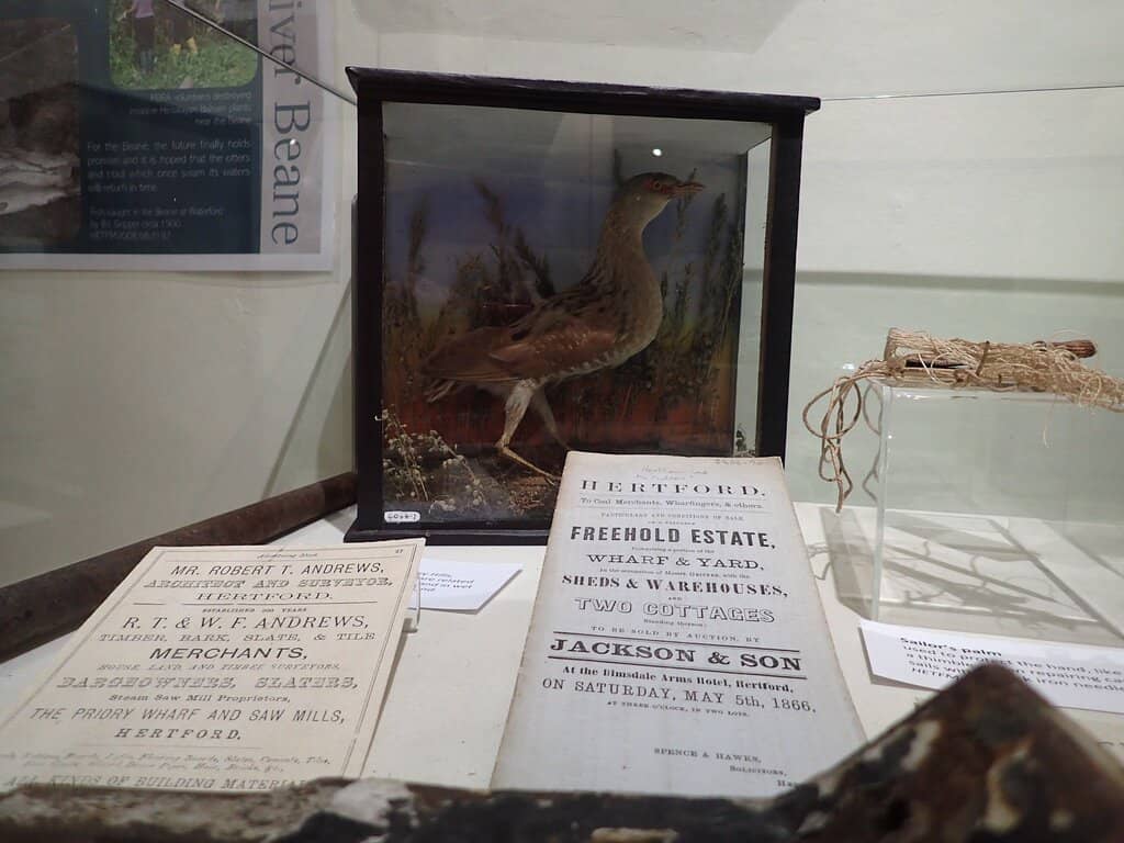 Temporary Exhibitions