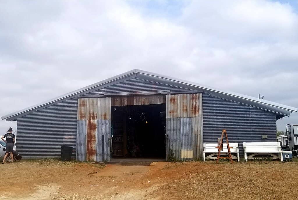 Pet-Friendly Shopping