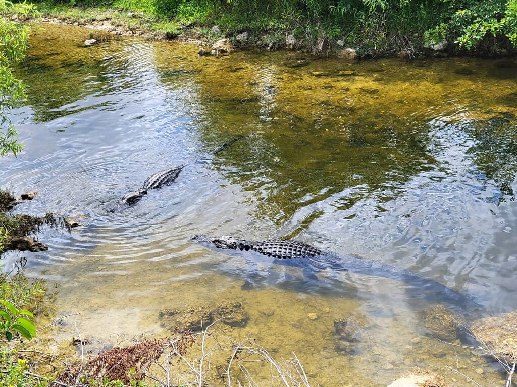 Florida National Historic Trail Terminus