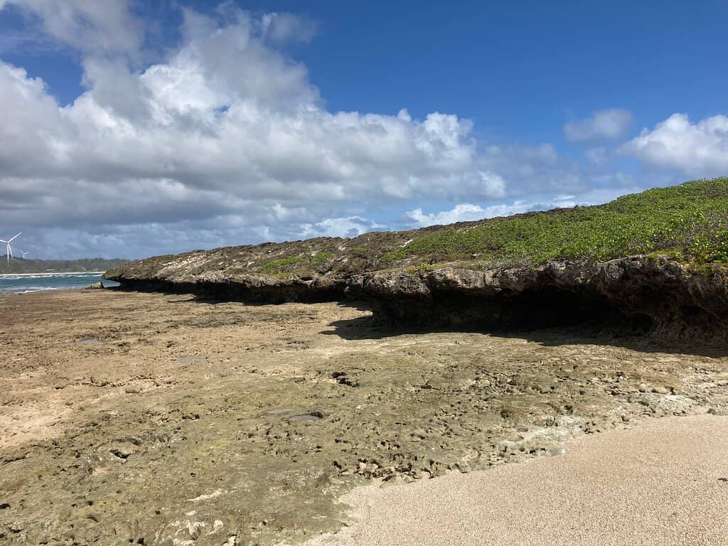 Seabird Sanctuary