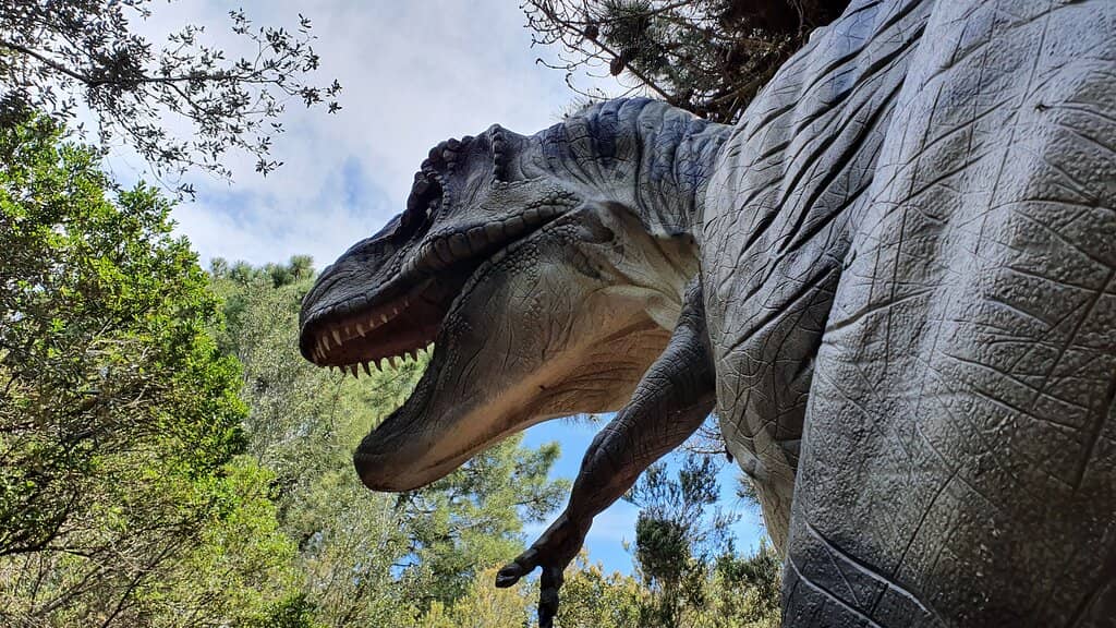 Proximity to Fiumicino