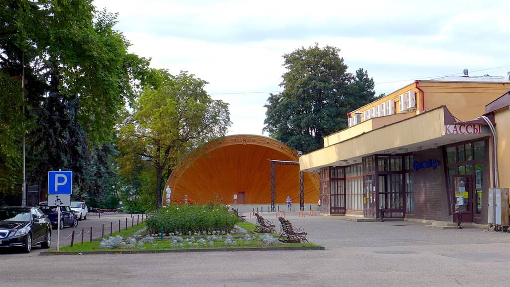 Live Musical Performances