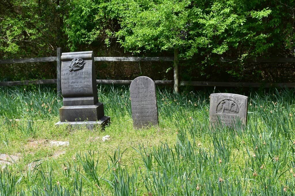 Butterfly and Wildlife Trails