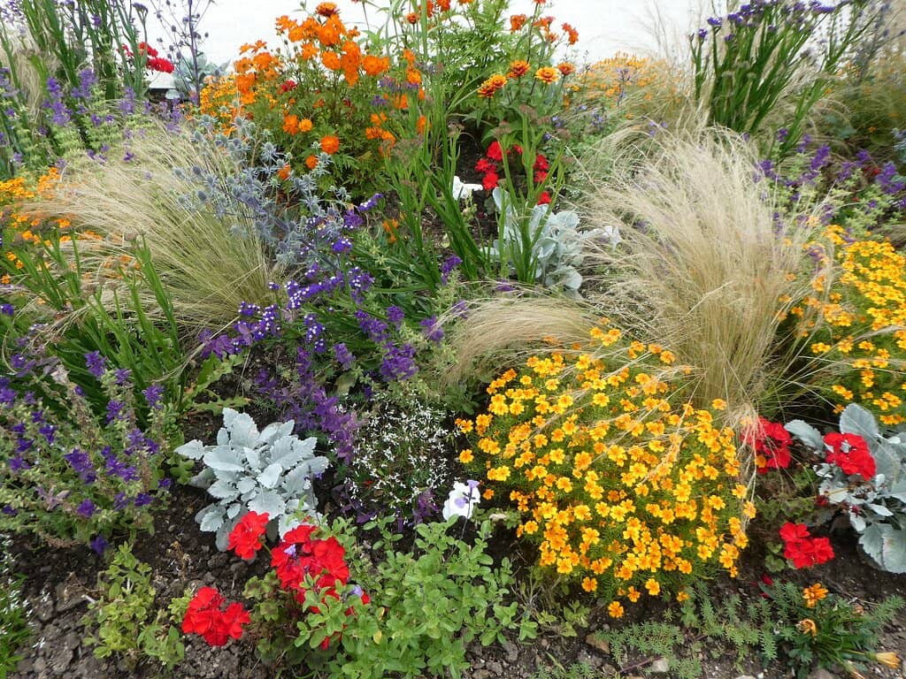 Peaceful Afternoon Stroll