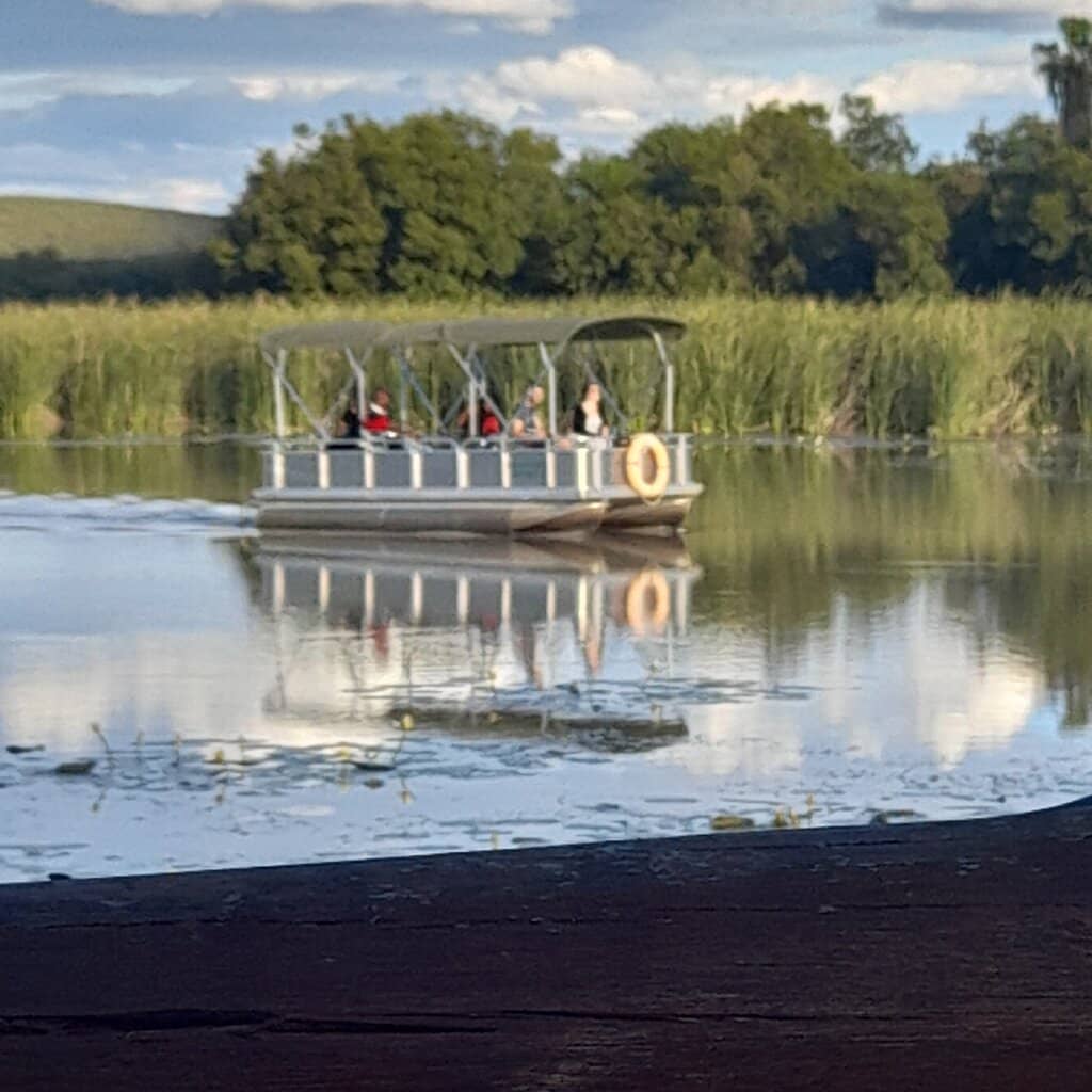 Serene River Views