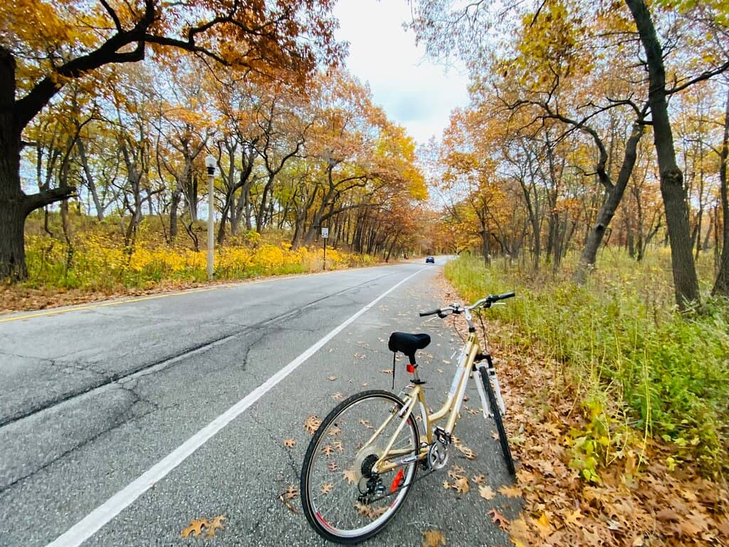 Historic Park Architecture