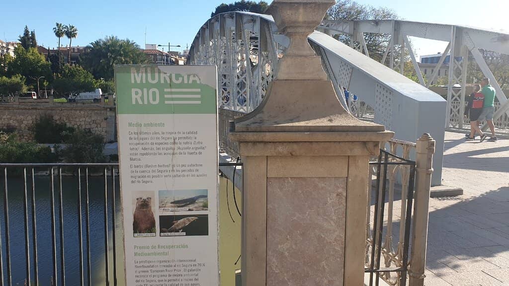 The Iron Bridge (Puente de Hierro)