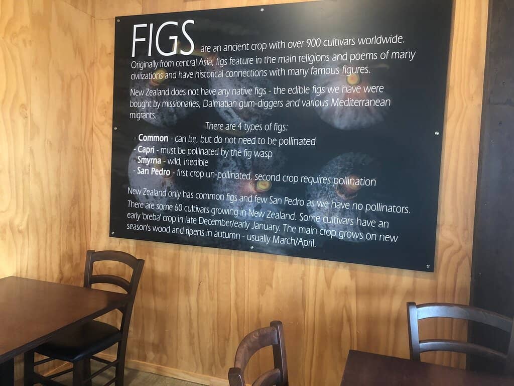 Gluten-Free & Dairy-Free Delights