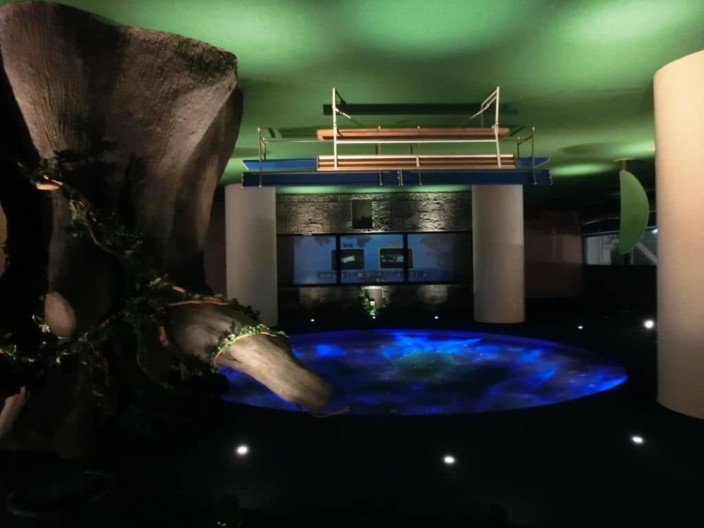 Panoramic City Views