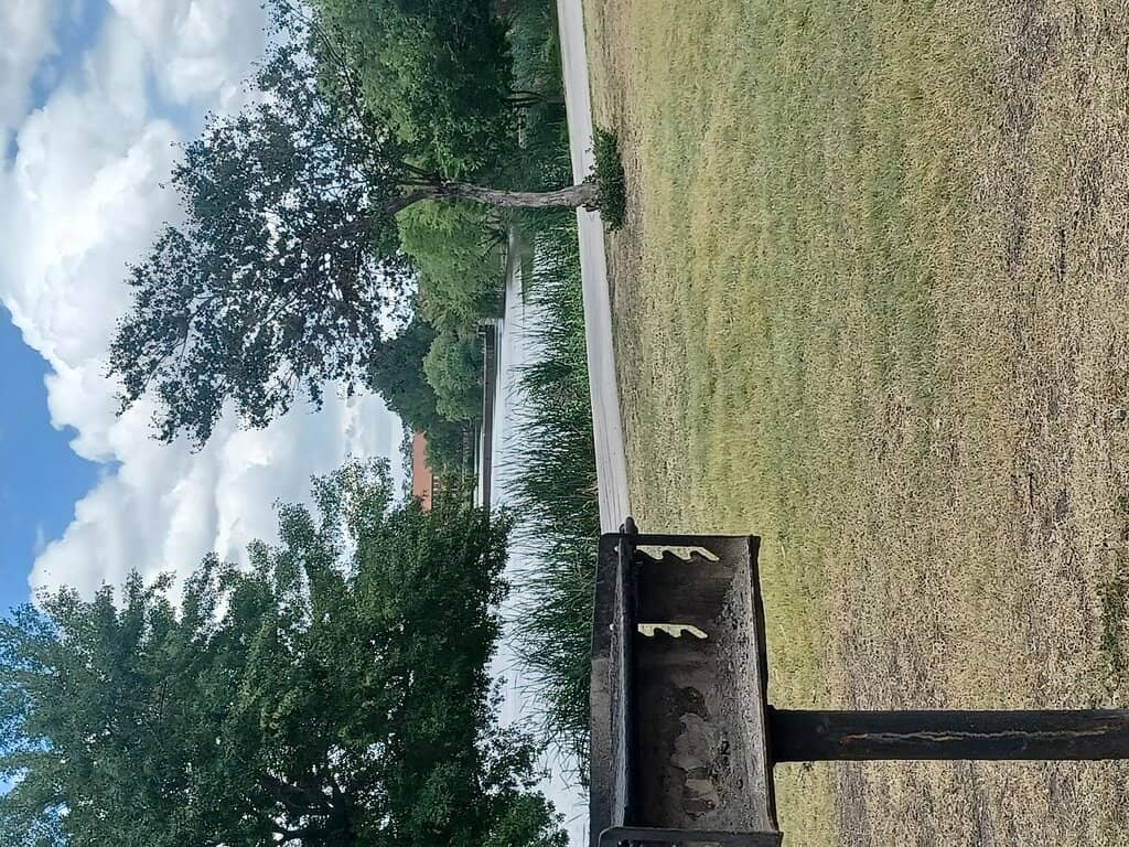 Vertical photo