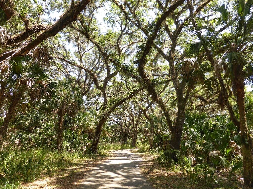 The 'English Countryside' Hills