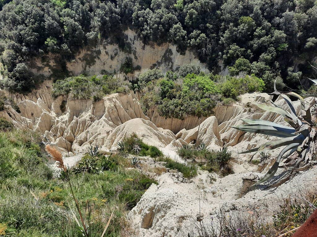 Cava Scura