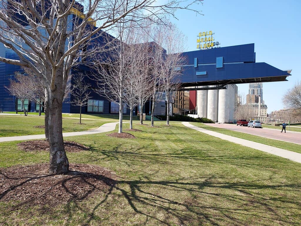 The Iconic Mound
