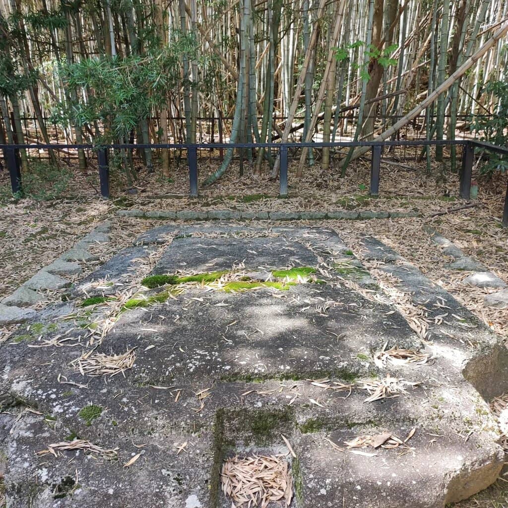 Ancient Sarcophagus Discovery