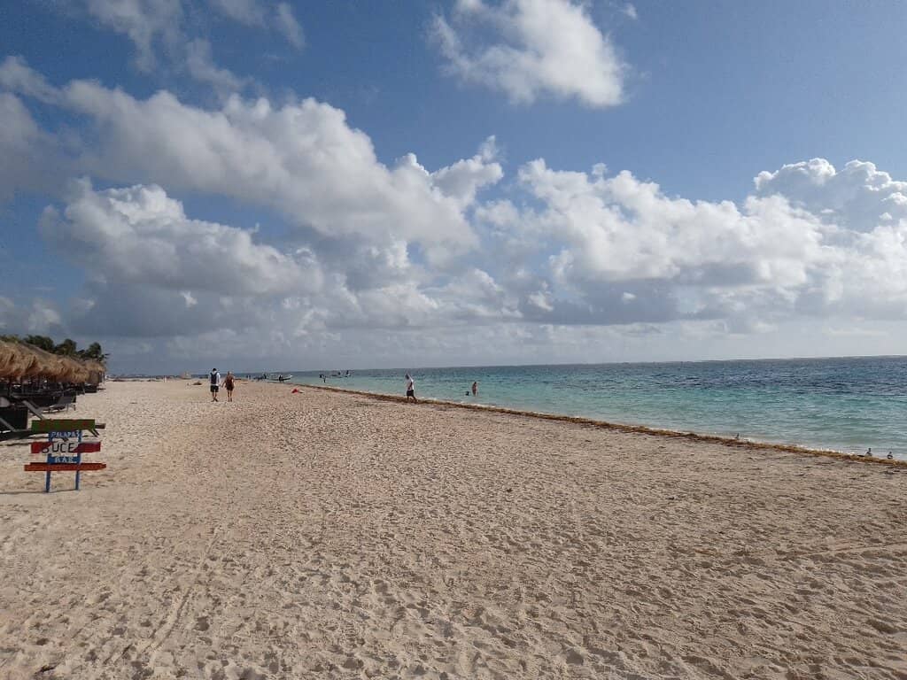 Charming Town Square & Local Eats