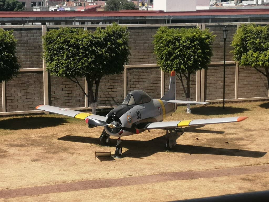 Mexican Army History