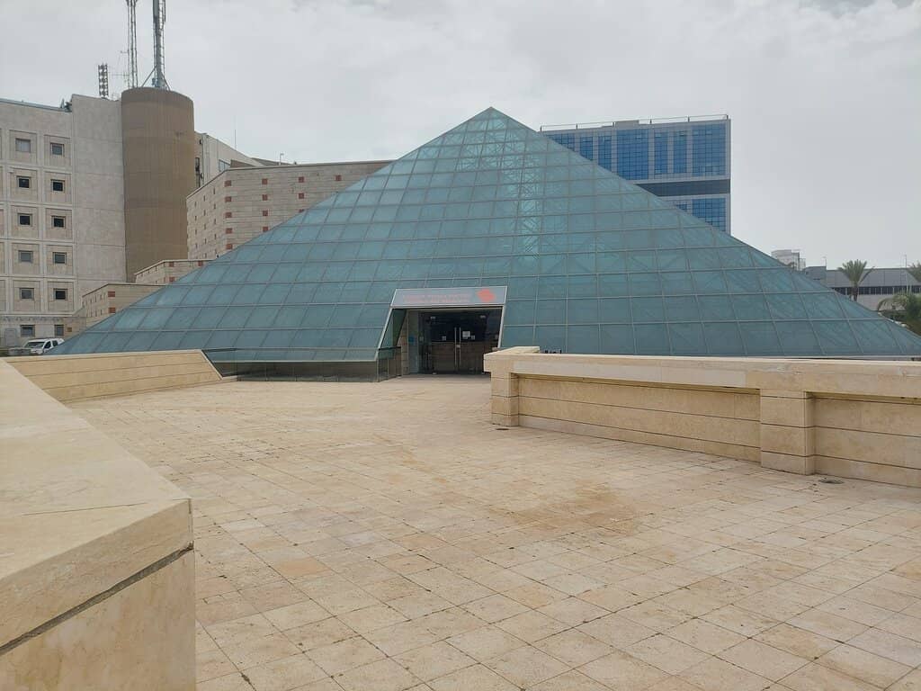 Food Festival Delights