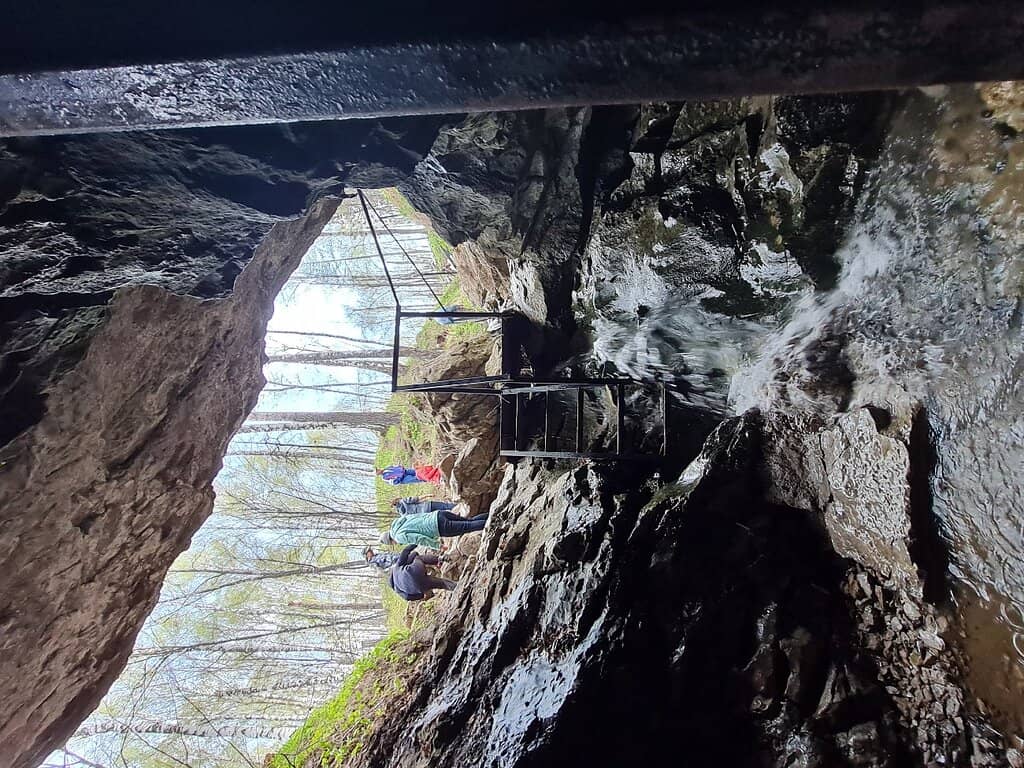 Vertical photo