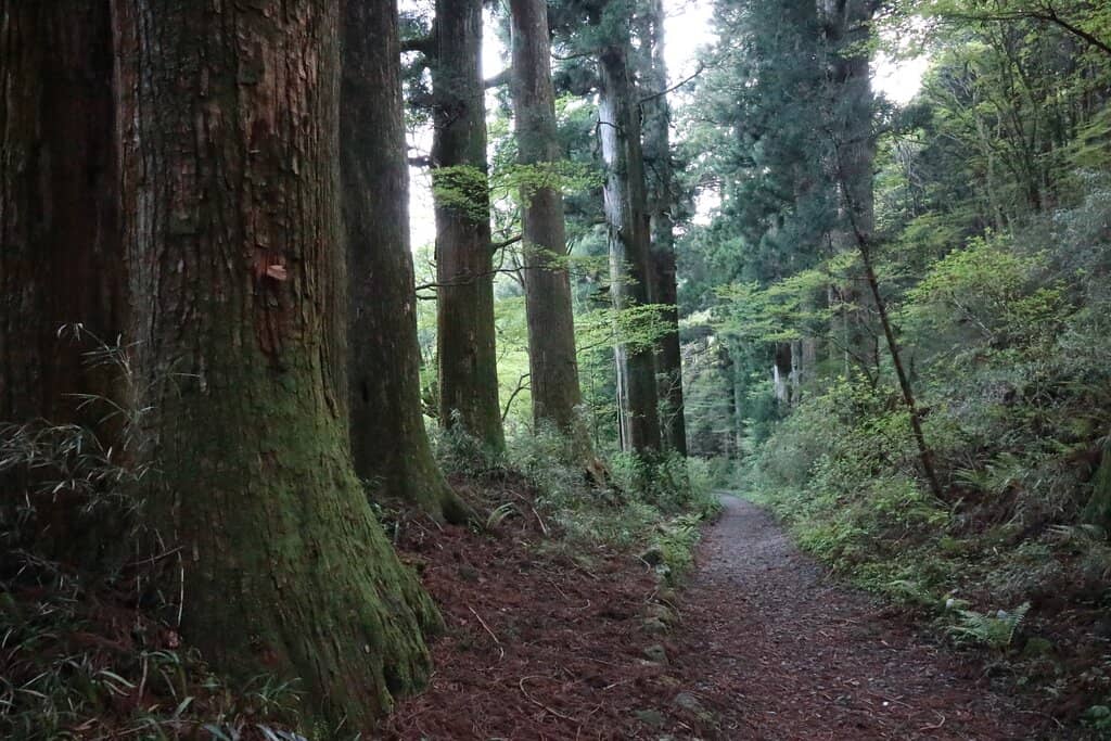 Hakone Sekisho Shiryokan