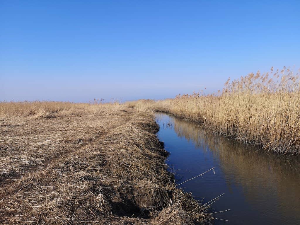 Community Bonfires & Grilling
