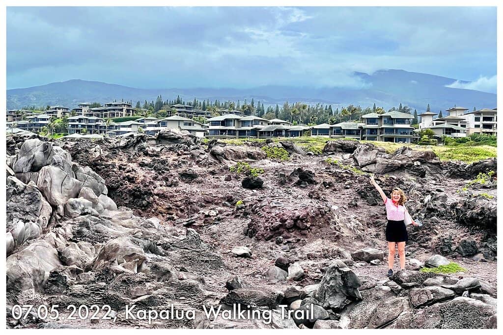 Whale Watching Opportunities