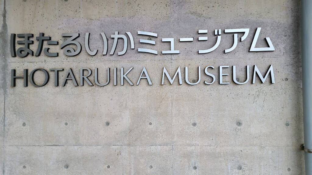 Touch Pool Experience