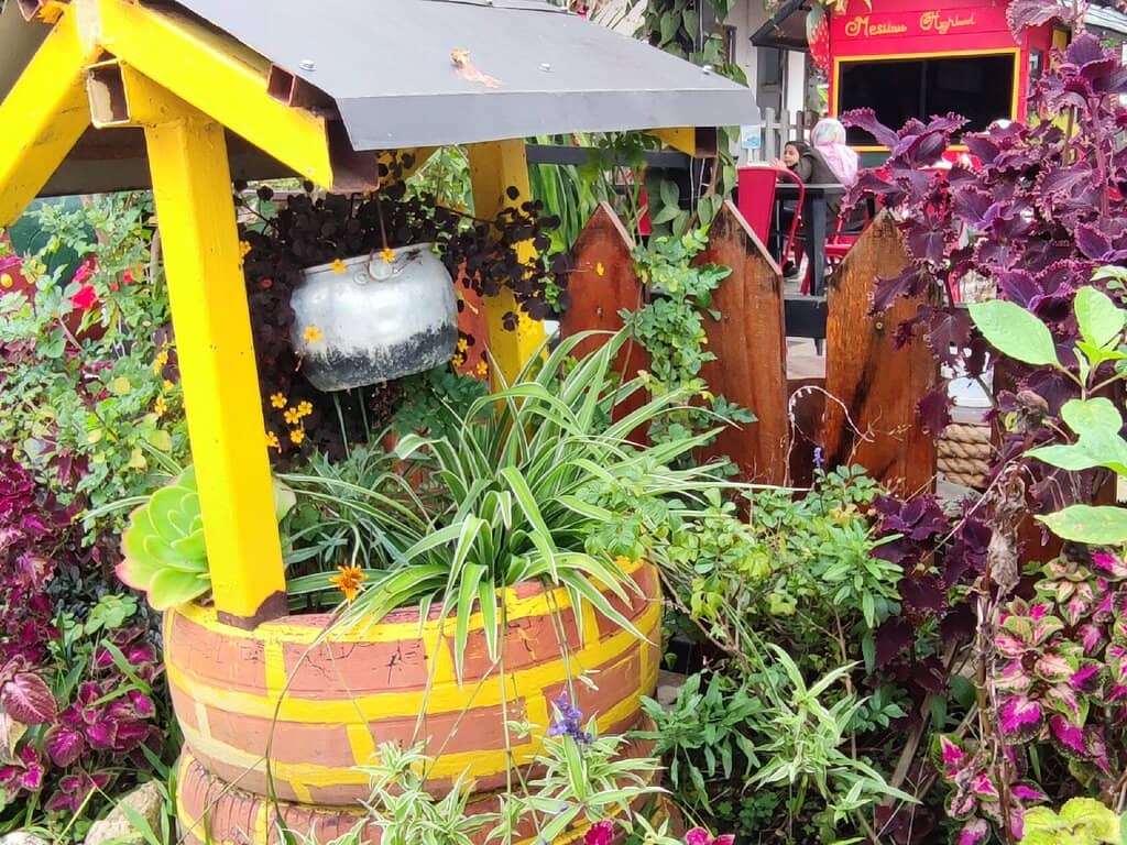 Strawberry Treats & Cafe