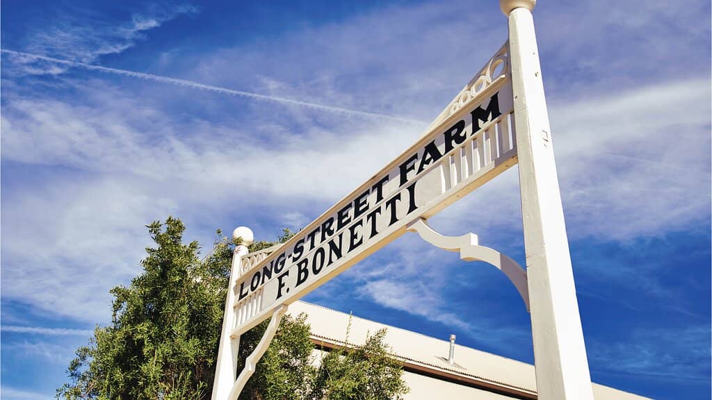 Outdoor Terrace Seating