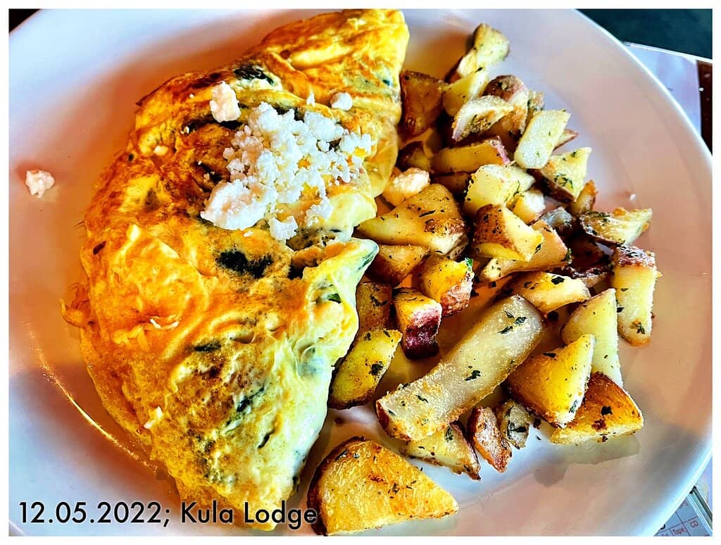 Rustic European Lodge Ambiance