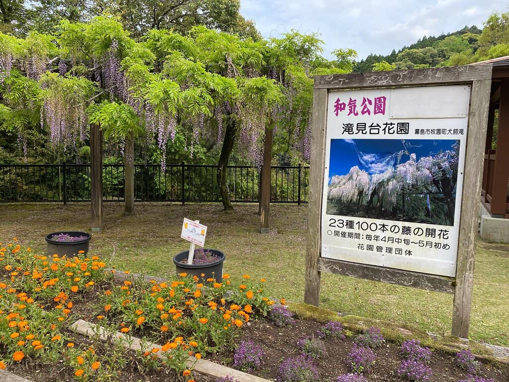 Viewing Platform