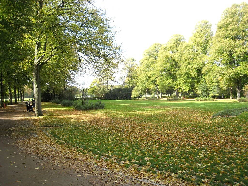 Serene Lake and Wildlife