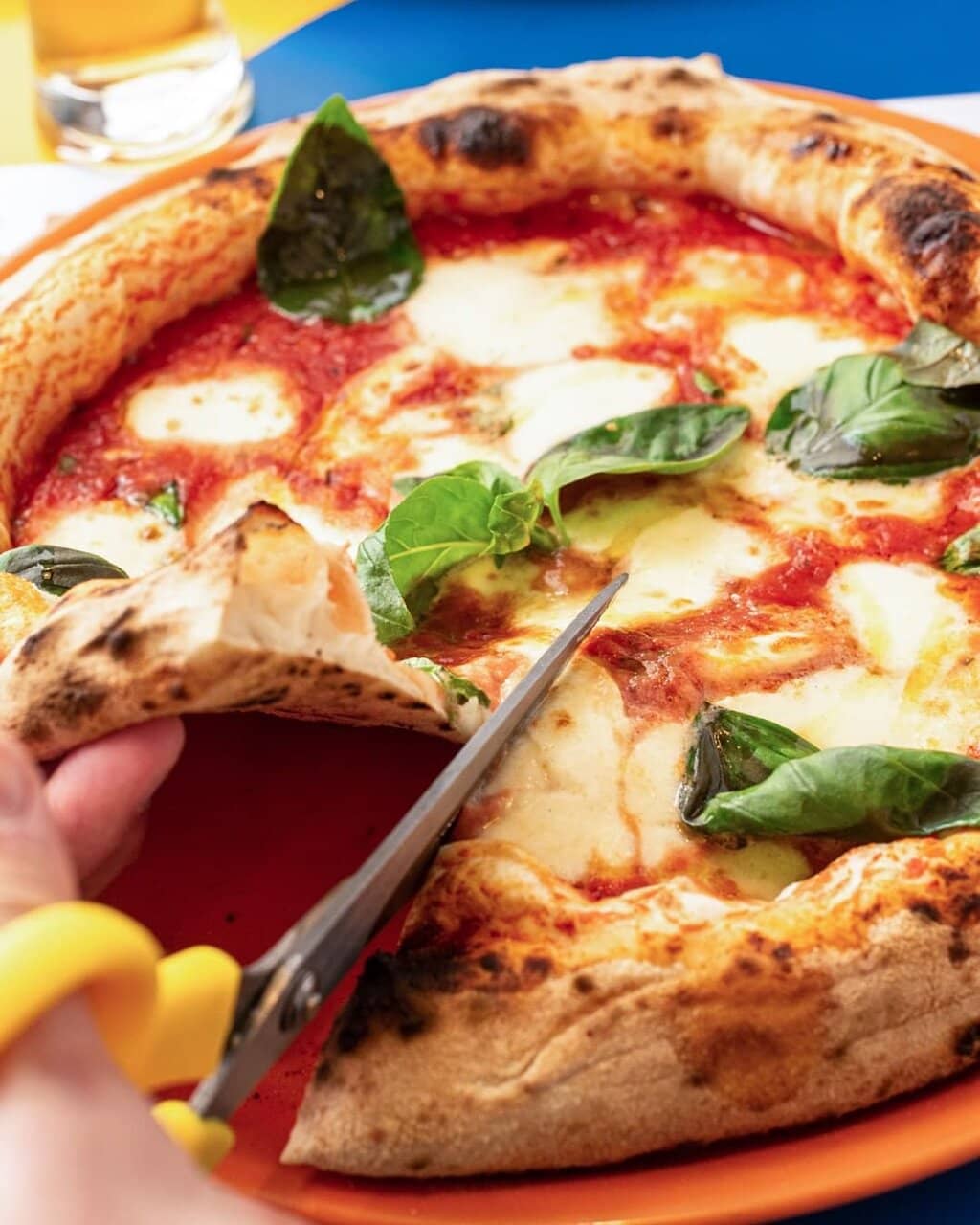 Unique and Creative Tableware