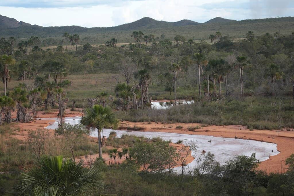 Panoramic Cerrado Views