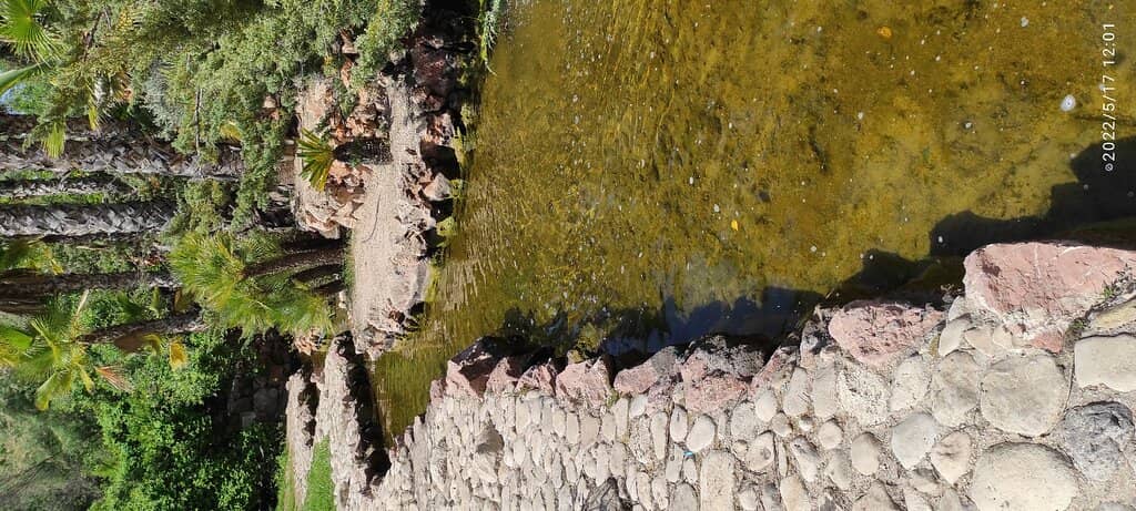 Vertical photo