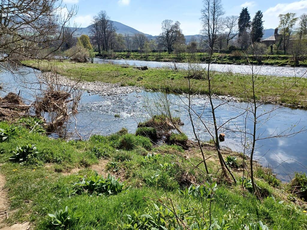 Picturesque Riverside Strolls