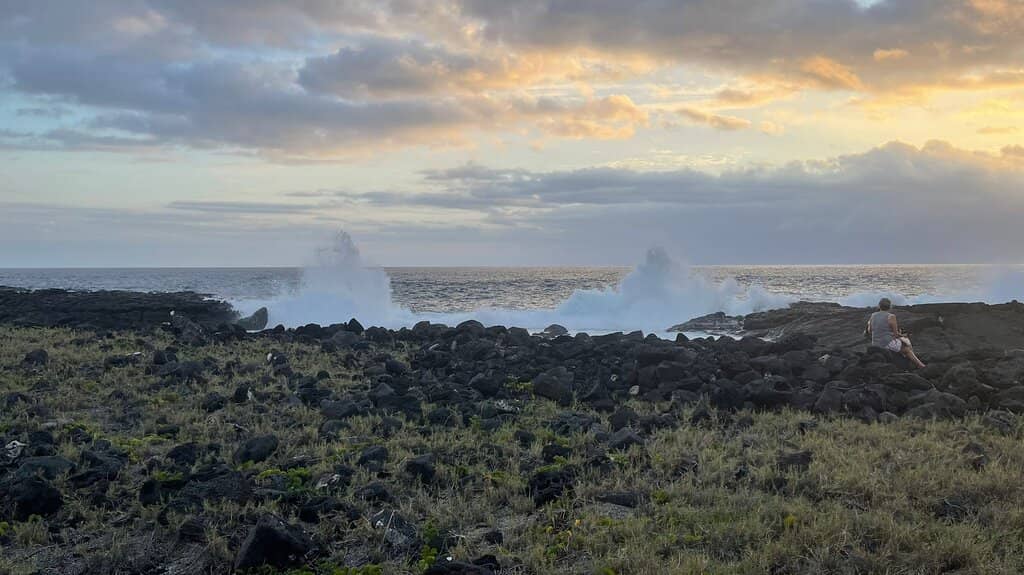 Tide Pool Exploration