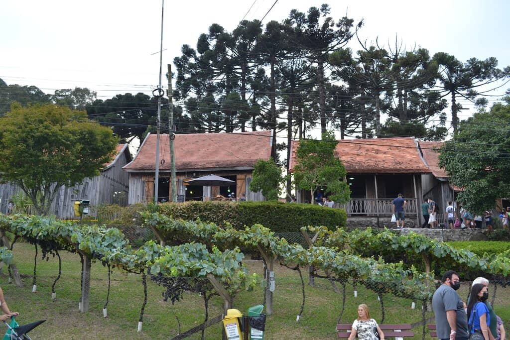 Museums and Exhibits