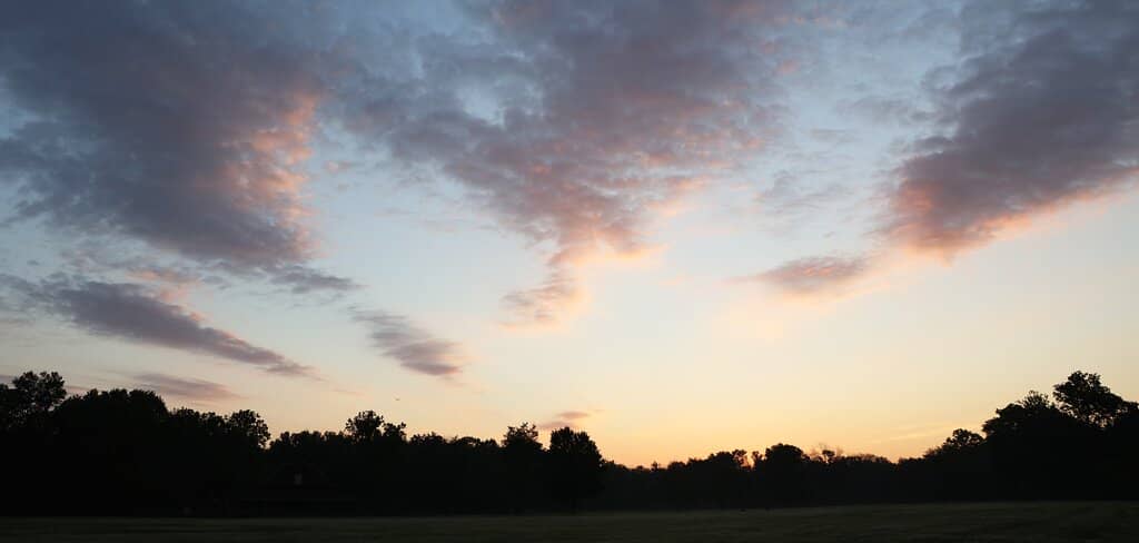 Playgrounds and Open Spaces