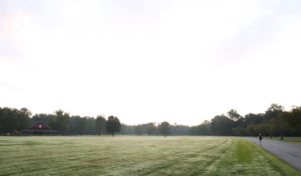 Virginia Bluebell Trail