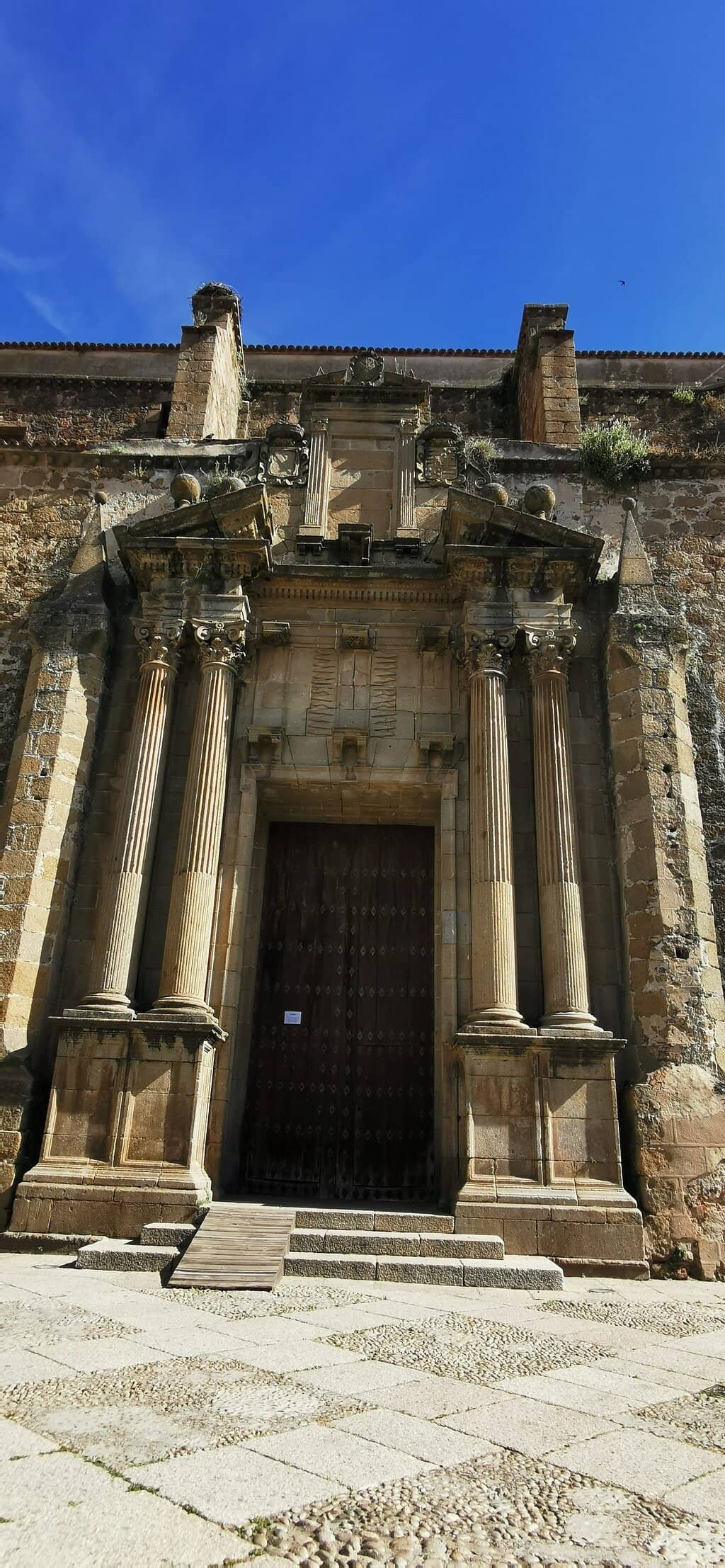 Vertical photo