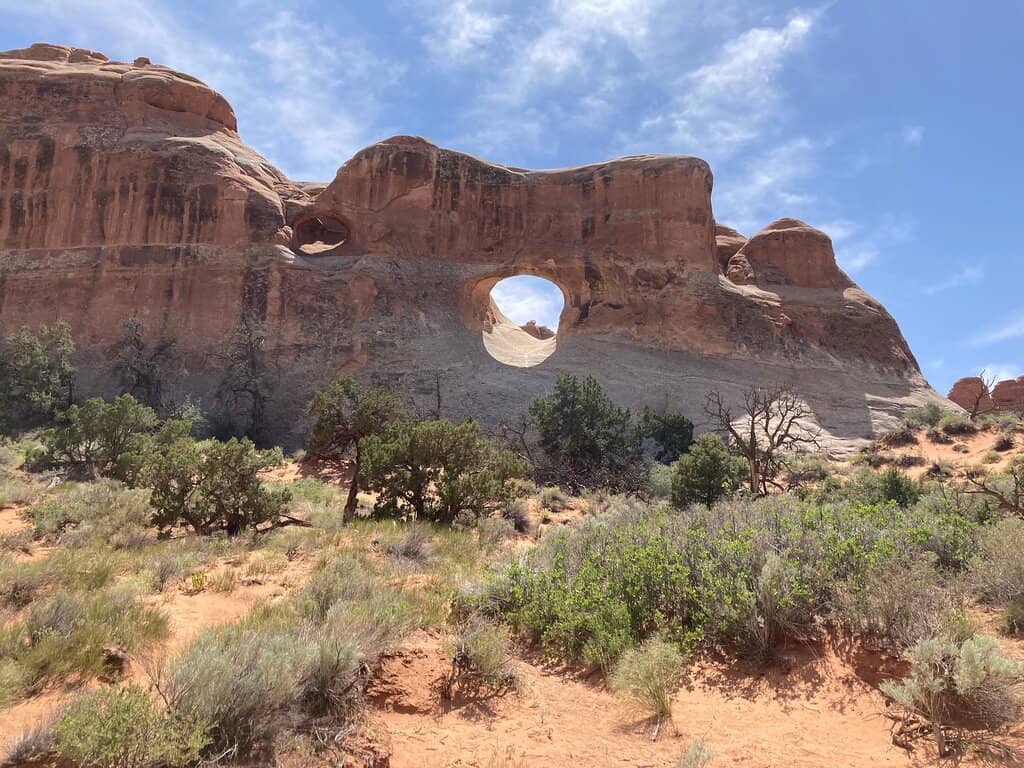 Pine Tree Arch
