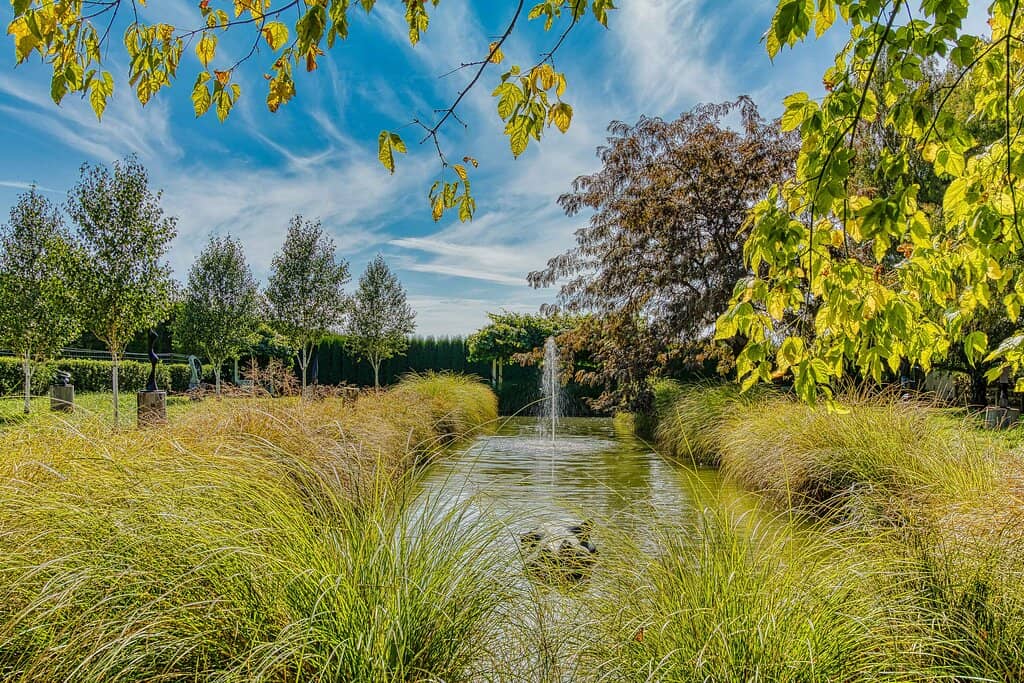 Enchanting Gardens