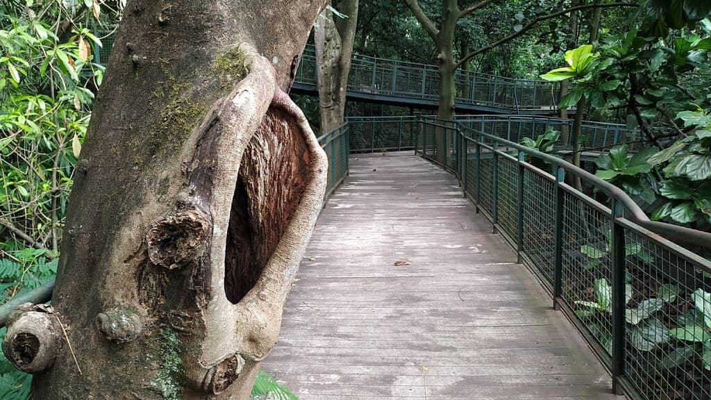 Morning Jogging Path