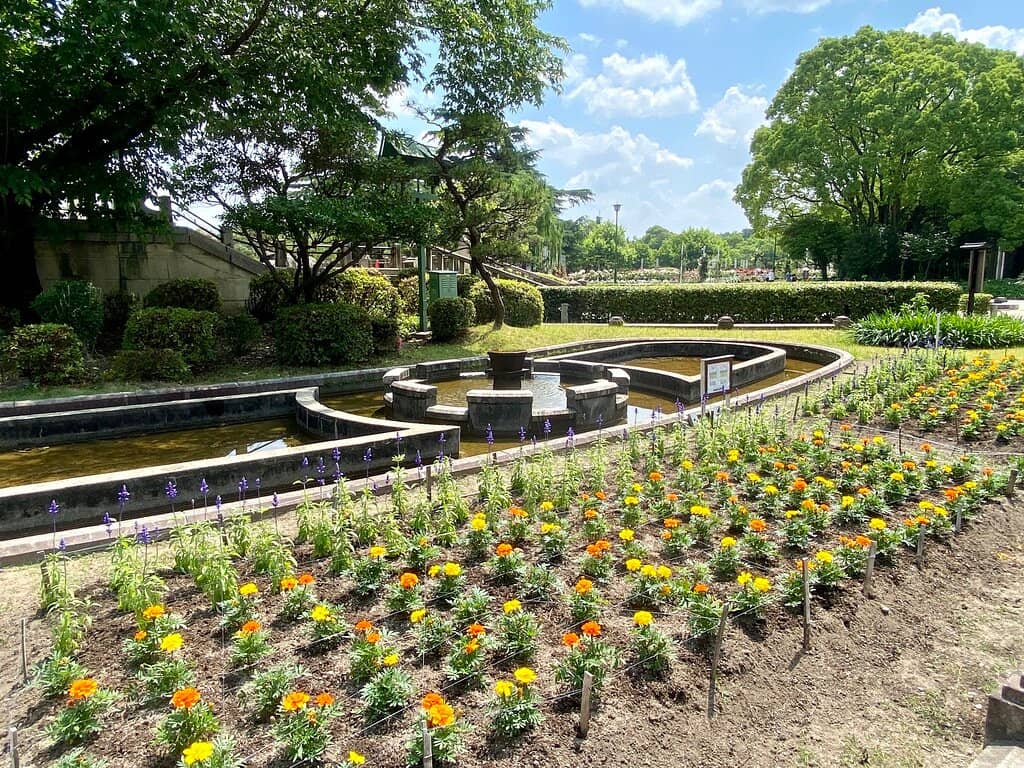 Vibrant Rose Gardens