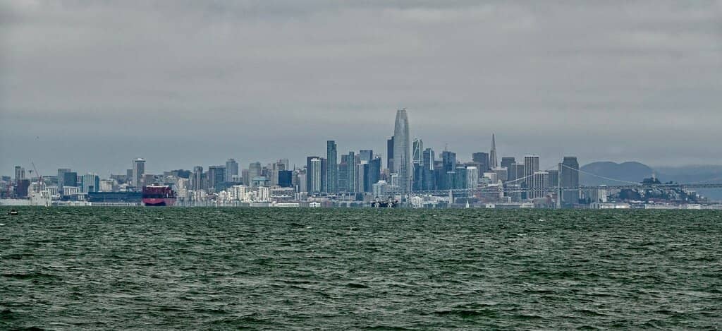 Wetlands Trail Boardwalk