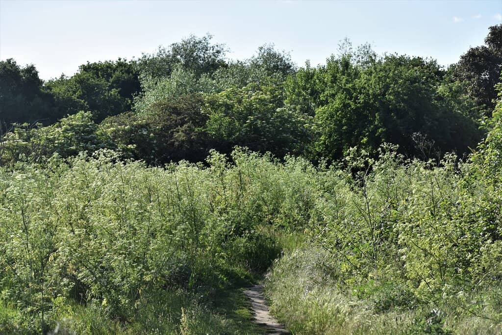 Historical Significance