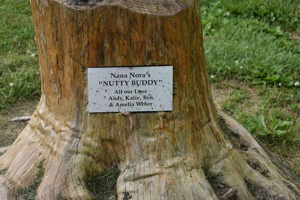 River Access & Wildlife